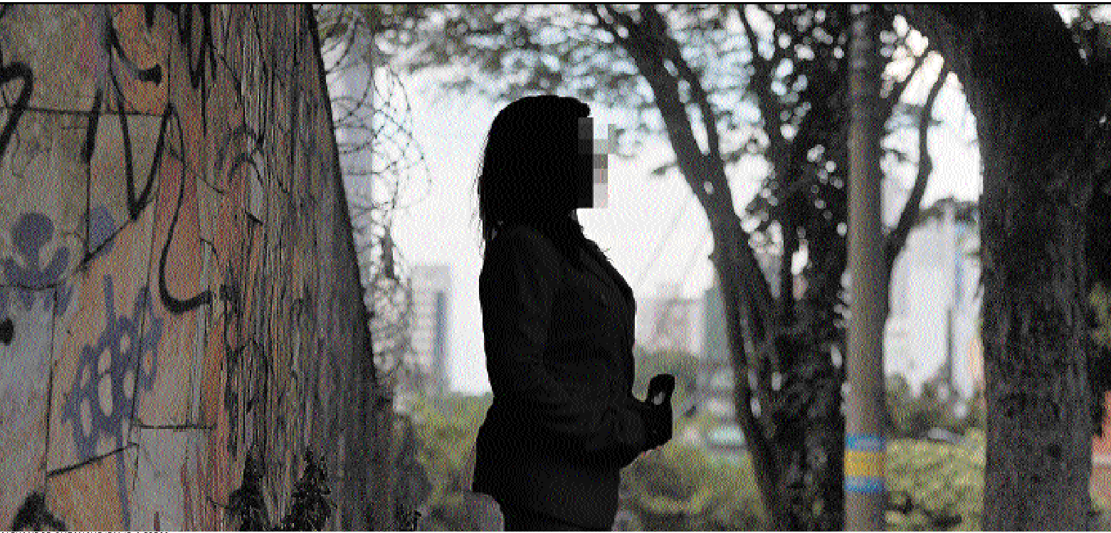 Luiza foi alvo de  tentativa de feminicídio por parte do ex, um policial civil -  (crédito:  Alexandre Guzanshe/EM/D.A Press)