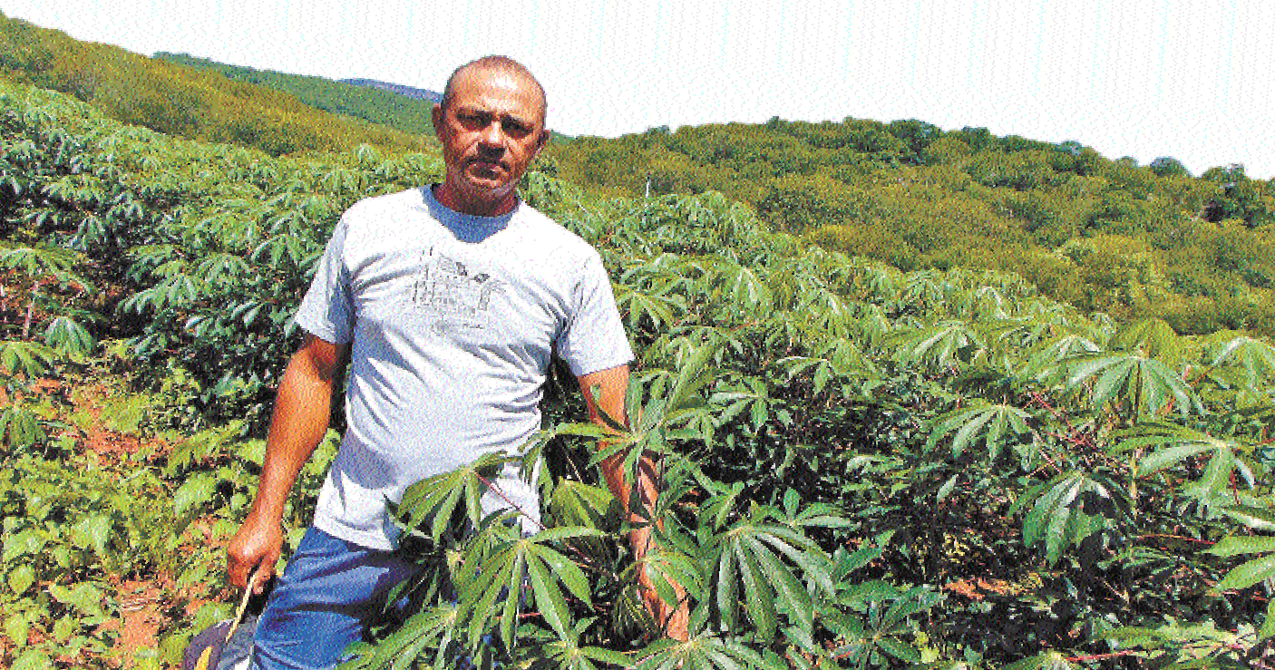 Jos&eacute; Natalino dos Santos mostra planta&ccedil;&atilde;o no terreno que cultiva em sua cidade, Ara&ccedil;ua&iacute;, depois de sair de casa por anos para trabalhar em S&atilde;o Paulo: "Hoje, tenho vida mais digna"