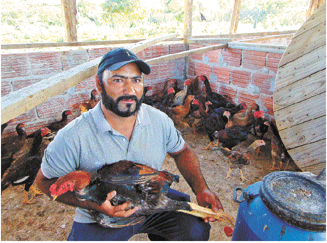 "A qualidade de vida aqui &eacute; muito melhor. A gente mora junto da fam&iacute;lia e temos um clima com ar puro, sem polui&ccedil;&atilde;o", Douglas Martins da Silveira, de 36 anos, ex-migrante e hoje criador de aves em Jana&uacute;ba, no Norte de Minas&nbsp;