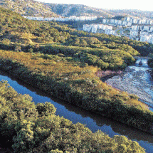 Como a poluição em alta vira efeito cascata e inunda o Judiciário em Minas - Ramon Lisboa/EM/D.A Press