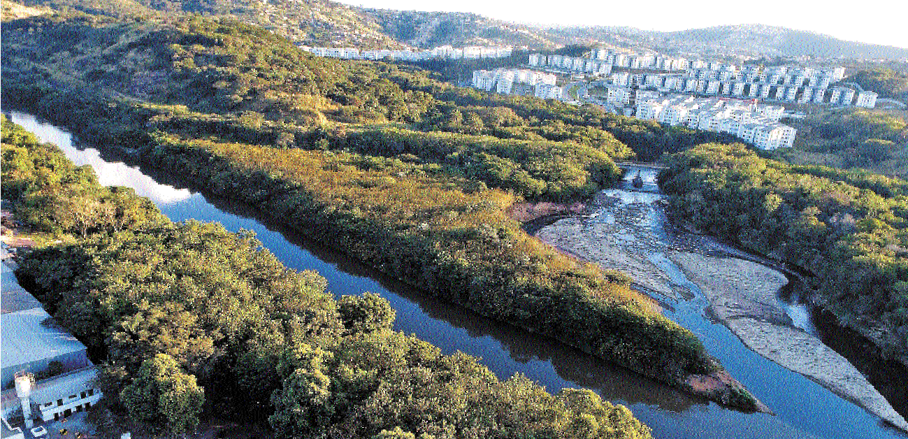 O encontro das águas do Ribeirão da Onça, assoreado e poluído, com o Velhas: degradação na Bacia do São Francisco -  (crédito: Ramon Lisboa/EM/D.A Press)