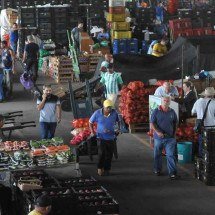 Governo Lula avança para retirar CeasaMinas do plano de privatização - Gladyston Rodrigues/EM/D.A Press
