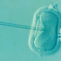 Mulheres relatam assédio de doadores em inseminação caseira