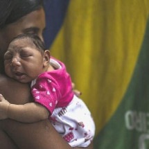 Com avanço da febre oroupoche no país, Saúde reforça investigação de microcefalia em bebês - EPA