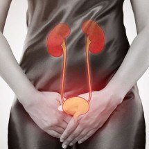 'E quando a infecção sobe para os rins?' - Reprodução/Pixabay