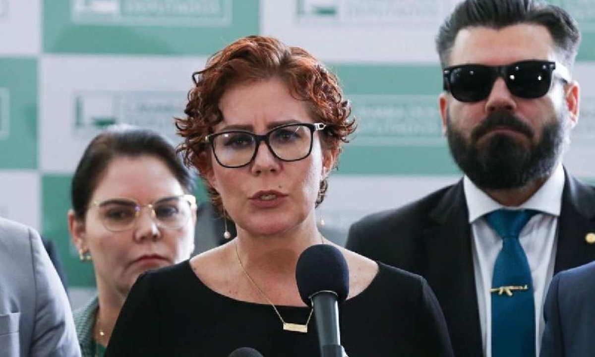 Deputada Carla Zambelli  -  (crédito: (Lula Marques/ EBC))