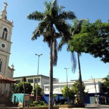 Cidade da Grande BH reduzirá tarifa de ônibus, e passagem chegará a R$ 1 - Jair Amaral/EM/D.A Press