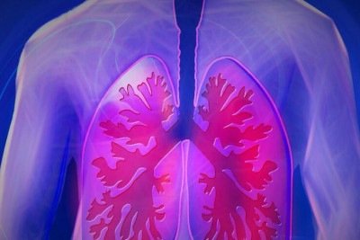 Ilustração do pulmão -  (crédito: Pixabay)