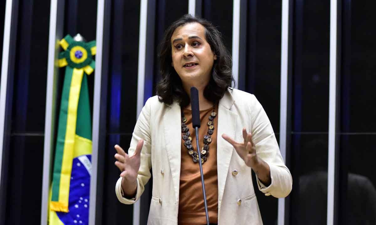 Deputada Duda Salabert (PDT) levantou quest&atilde;o sobre obra de Guimar&atilde;es Rosa -  (crédito: ZECA RIBEIRO/C&Acirc;MARA DOS DEPUTADOS)