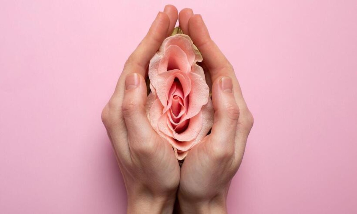 vagina representada pela metade de uma laranja com uma mulher segurando -  (crédito: Pickisuperstar/Freepik
)