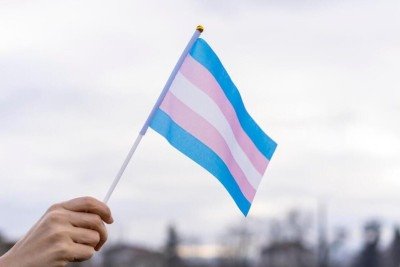 BANDEIRA TRANS -  (crédito: PIXABAY/REPRODUÇÃO)