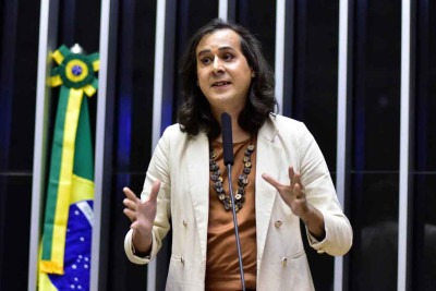 Deputada Duda Salabert (PDT) levantou questão sobre obra de Guimarães Rosa -  (crédito: ZECA RIBEIRO/CÂMARA DOS DEPUTADOS)
