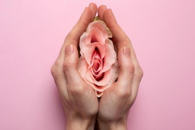 vagina representada pela metade de uma laranja com uma mulher segurando -  (crédito: Pickisuperstar/Freepik
)