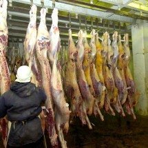 Comerciante é condenado a 5 anos por transportar carne roubada em BH - RENATO WEIL/EM/D.A PRESS  14/1/13
