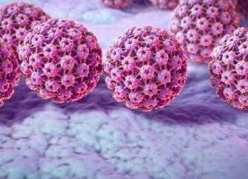 Ilustração do HPV -  (crédito: Science Photo Library)