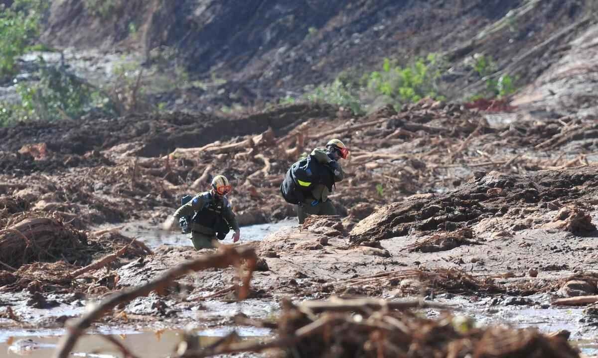 Bombeiros atuam em buscas no local do rompimento em Brumadinho -  (crédito: Gladyston Rodrigues/EM/D.A. Press - 28/01/2019 )