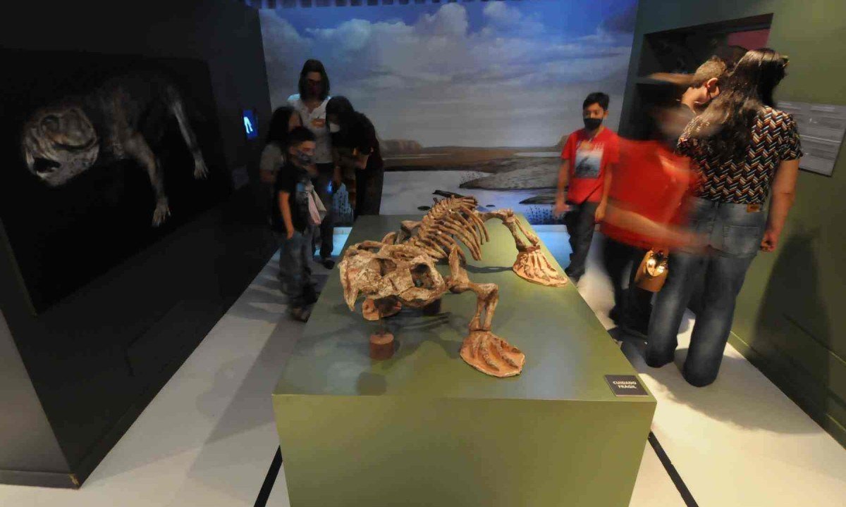 visitacao espa&ccedil;o do conhecimento ufmg 