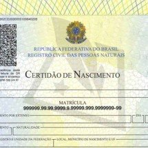 Solicitações de certidão brasileira para menores nascidos nos EUA disparam - Divulgação