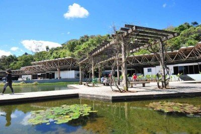 O Parque das Mangabeiras &eacute; a maior &aacute;rea verde protegida em per&iacute;metro urbano de Belo Horizonte -  (crédito: Leandro Couri/EM/D.A)