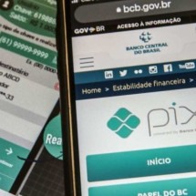 Pesquisa: uso do Pix teve aumento de 300% em 2023 - Marcello Casal Jr/Agência Brasil