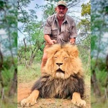 Caçador vira caça e é morto na África - reproducao instagram