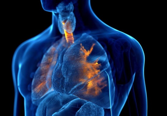 Em uma pessoa asmática, os brônquios são anormalmente sensíveis a certos fatores ambientais. -  (crédito: Getty Images)