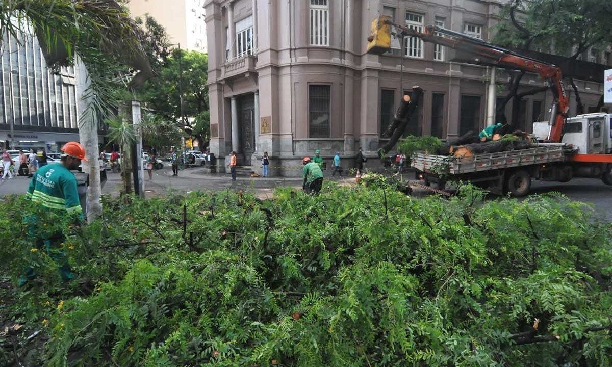 Árvores ameaçaram várias partes da Grande BH. Essa caiu em plena Praça 7 e feriu uma senhora -  (crédito: Túlio Santos/EM/D.A.Press)
