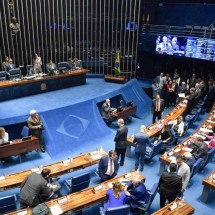 Com só um voto contra, Senado aprova 'pacote do veneno' - Jonas Pereira/Ag&ecirc;ncia Senado