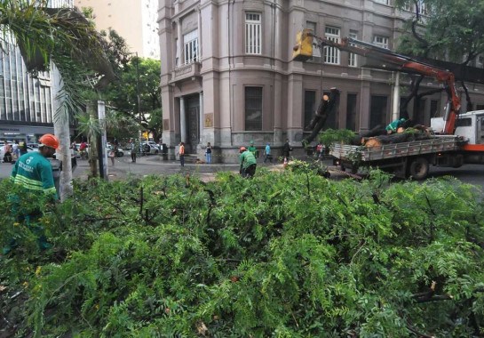 Árvores ameaçaram várias partes da Grande BH. Essa caiu em plena Praça 7 e feriu uma senhora -  (crédito: Túlio Santos/EM/D.A.Press)