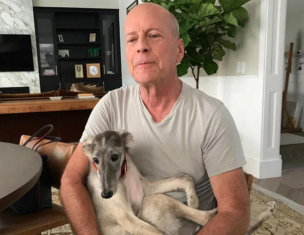 Primeiros sinais de demência, doença de Bruce Willis e Maurício Kubrusly - - Reprodução Instagram