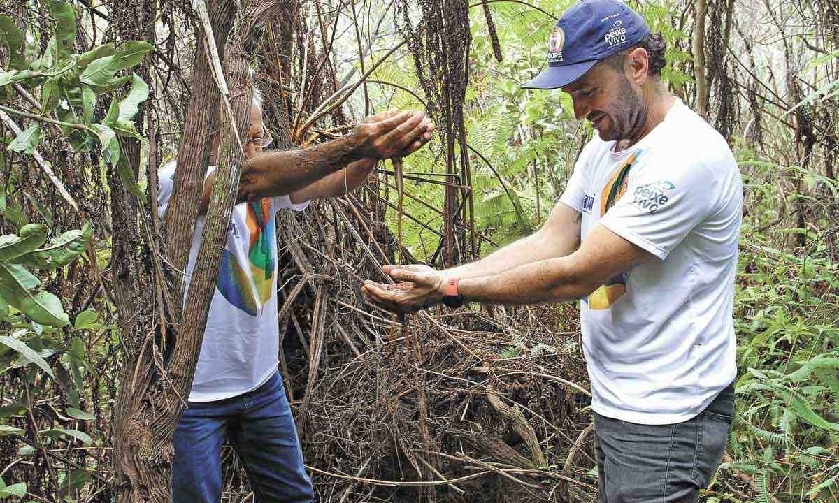 O sofrimento de cursos que alimentam o São Francisco