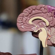 Alzheimer: pesquisadores avançam no diagnóstico precoce - Robina Weermeijer/Unsplash