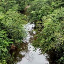 Purificação de rios: entenda o que é esse milagre e por que está em perigo - Leandro Couri/EM/D.A Press