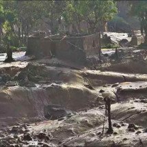 Tragédia de Mariana: réus pelo rompimento da barragem começam a ser ouvidos - Juarez Rodrigues / EM / D.A Press - 2015