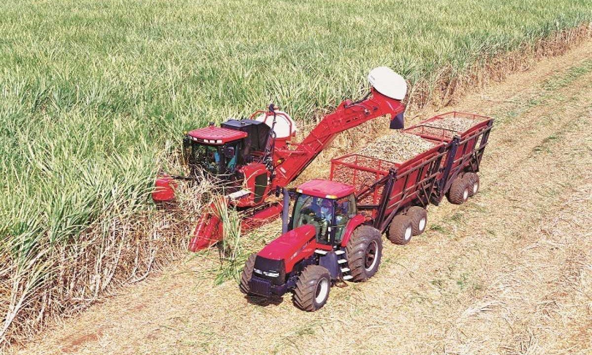  Questões sobre o agronegócio no Enem geraram polêmica  -  (crédito:   Seapa / Divulgação. Exportações do agronegócio mineiro alcançam novo recorde, com US$ 15,3 bilhões em 2022. Volume de 13,6 milhões de toneladas também se destaca como o maior já comercializado pelo segmento. Na foto, plantacao de cana dea acucar)