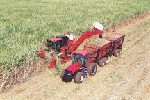 Esquerdismo contaminou questões do Enem sobre o agro