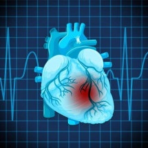 Molécula é capaz de amenizar insuficiência cardíaca; diz teste na USP - Freepik