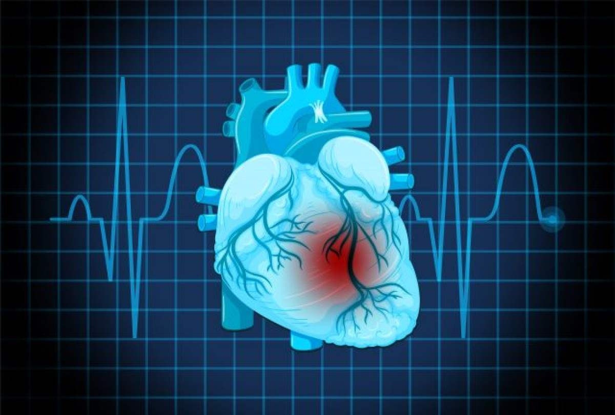 Molécula é capaz de amenizar insuficiência cardíaca; diz teste na USP