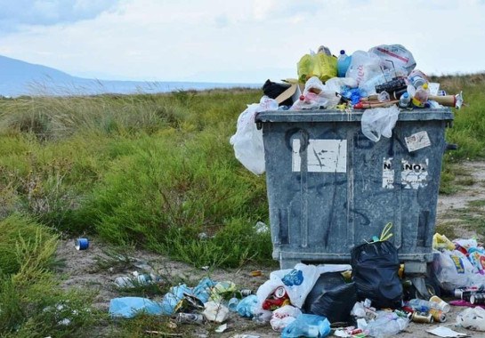 Compostos químicos liberados durante o processo de degradação do plástico podem reprogramar as células da próstata durante o desenvolvimento fetal e neonatal, aumentando o risco dos filhos de mães expostas de desenvolver o câncer de próstata quando envelhecerem  -  (crédito: Rita E/Pixabay)