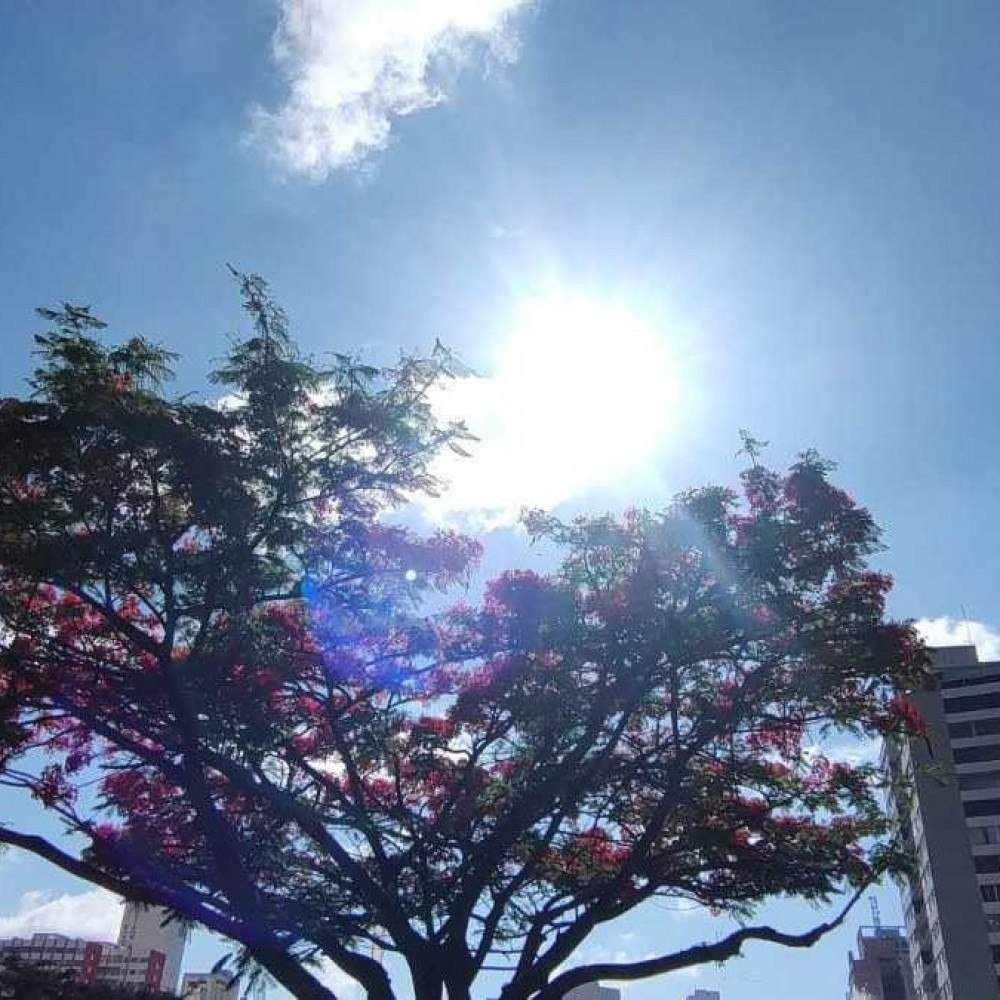 Calor recorde dispara vendas de ventiladores - Gerais - Estado de