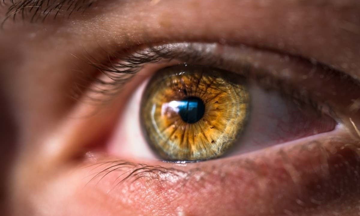 No calor intenso, é indicado hidratar os olhos, uma vez que essa é uma parte do corpo muito afetada com as altas temperaturas, além da pele e as narinas -  (crédito:  Joel Staveley/Unsplash)