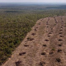 Desmatamento cai 73% em áreas protegidas da Amazônia - Florence GOISNARD / AFP