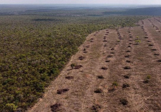 Desmatamento na Amazônia
       -  (crédito: Florence GOISNARD / AFP)