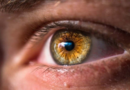 No calor intenso, é indicado hidratar os olhos, uma vez que essa é uma parte do corpo muito afetada com as altas temperaturas, além da pele e as narinas -  (crédito:  Joel Staveley/Unsplash)
