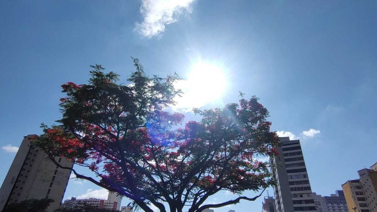 Defesa Civil prorroga alerta de calor intenso em BH