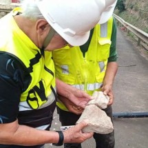 Fóssil de 65 milhões de anos é encontrado na BR-050, em Uberaba - Divulgação/Eco050