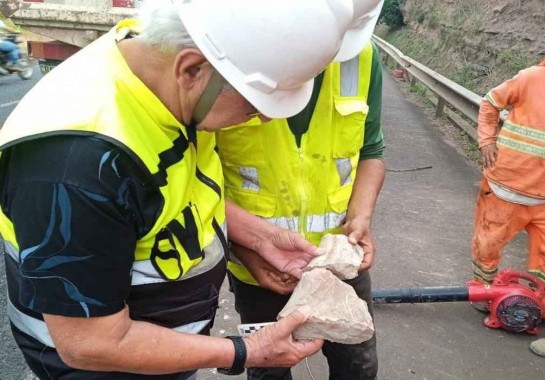 Funcionários da concessionária avaliam fóssil encontrado -  (crédito: Divulgação/Eco050)