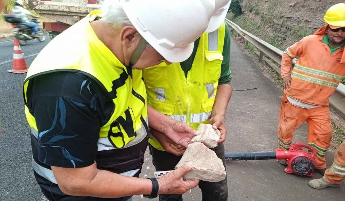 Fóssil de 65 milhões de anos é encontrado na BR-050, em Uberaba