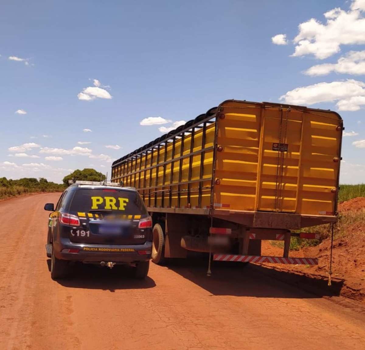Transporte de gado Nelore furtado de fazendeiro em MG é interceptado pela PRF