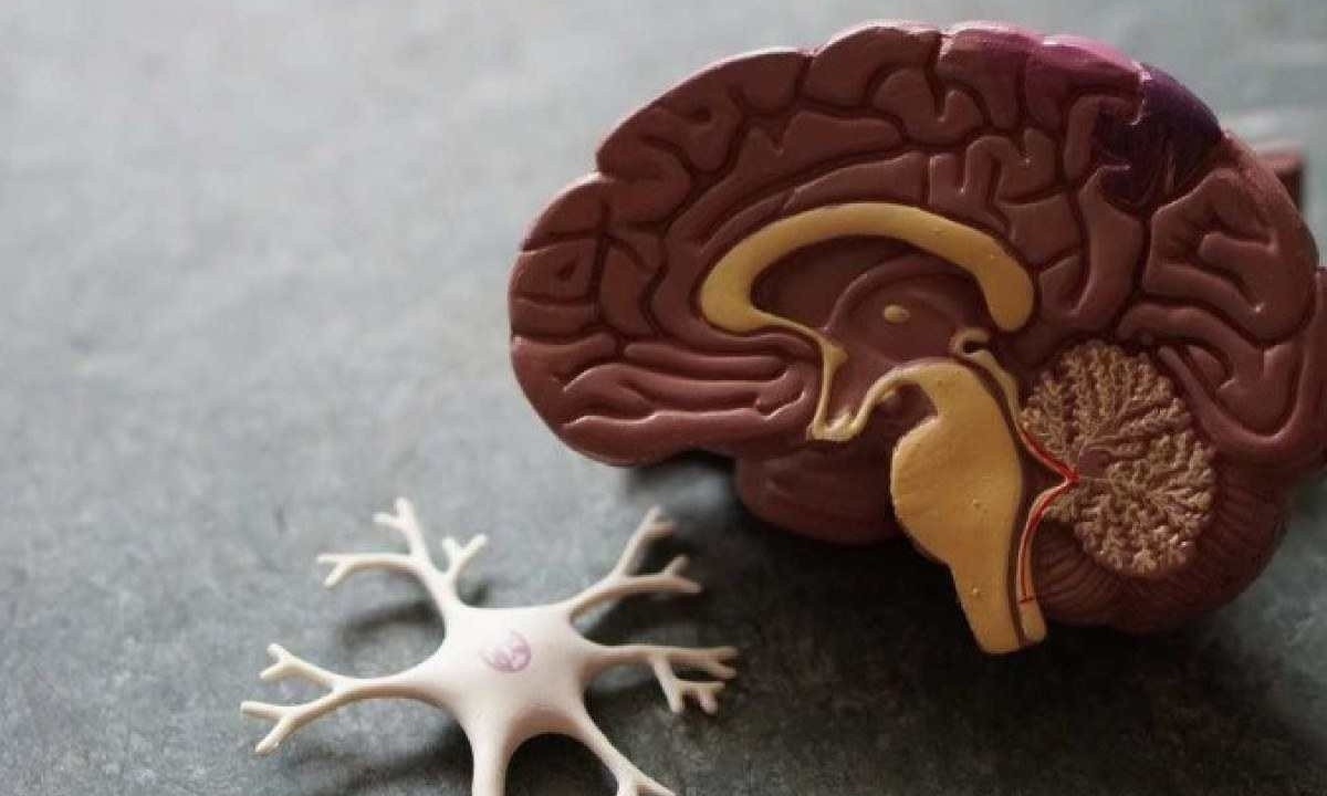 Caracterizada pela morte gradativa dos neurônios, a doença de Alzheimer pode levar décadas para manifestar os primeiros sintomas cognitivos  -  (crédito:  Robina Weermeijer/Unsplash)